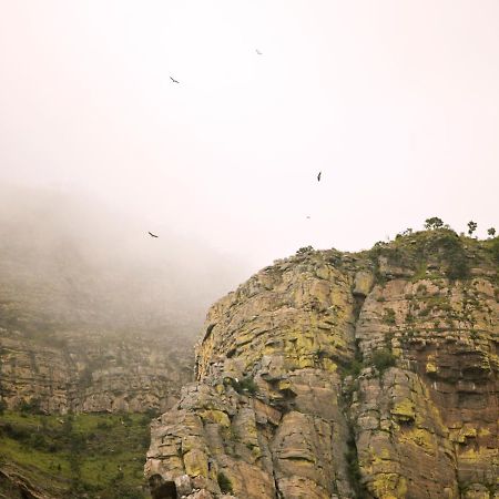 Cape Vulture Conservancy 호에드스프뤼트 외부 사진
