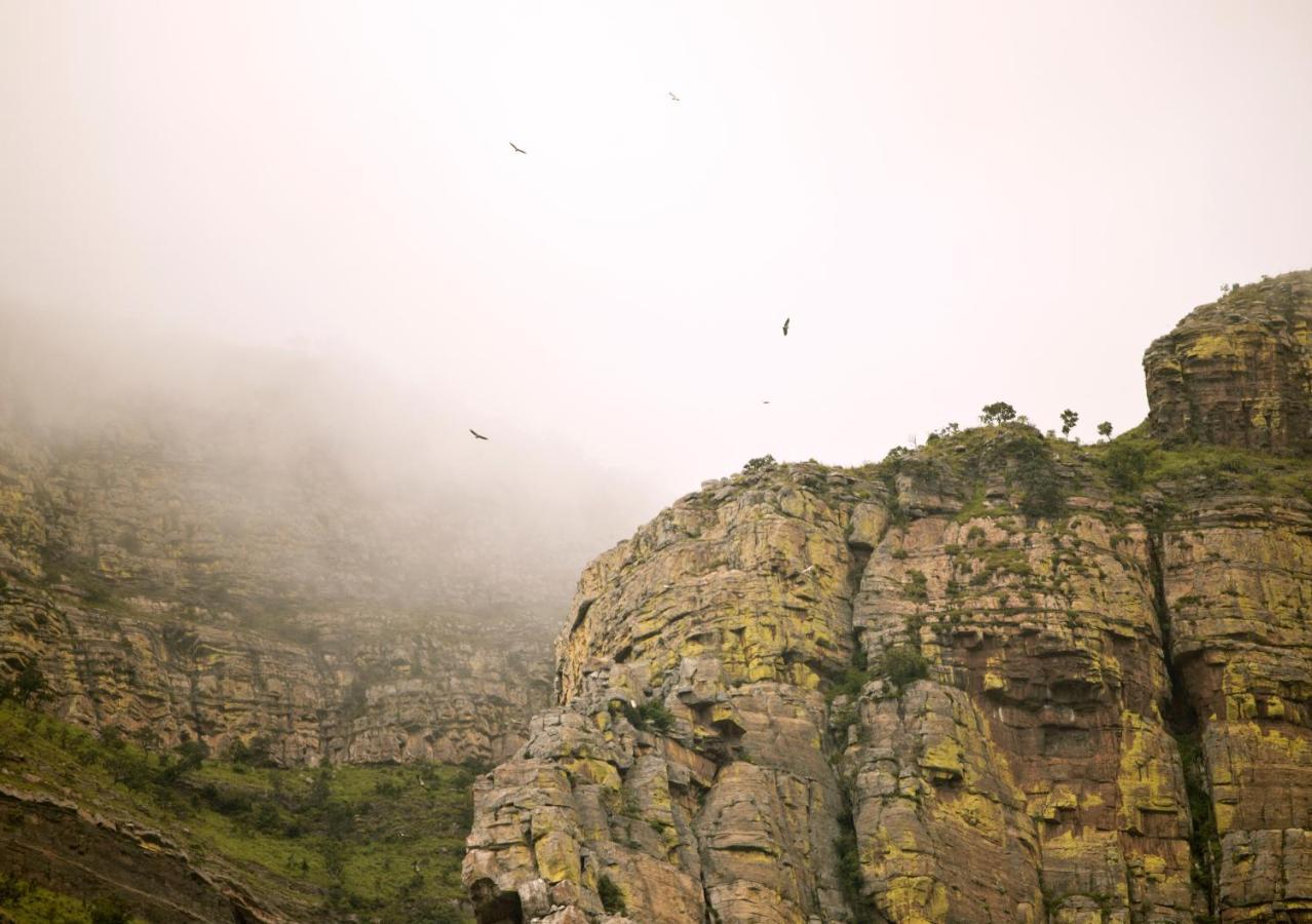 Cape Vulture Conservancy 호에드스프뤼트 외부 사진